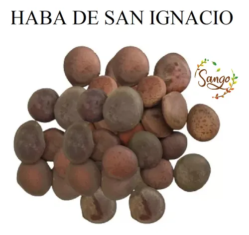 Para Que Sirve La Haba De San Ignacio En Brujería 1 Kilo De Haba De San Ignacio