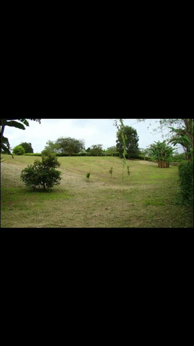 Imagen 5 de 14 de Venta Chalet, Km2 Via Murillo, Armenia (q)