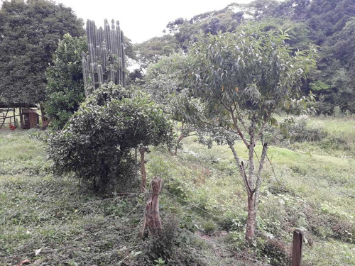 Sítio Carvalhos Com 20.000 M2 - 494