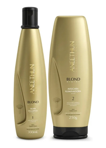 Aneethun Kit Blond System Shampoo Silver+máscara Iluminadora