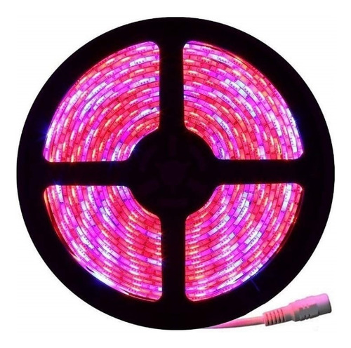 Tira Led 5050 Rollo 5 Metros Rosa 300 Chips 12v Interior