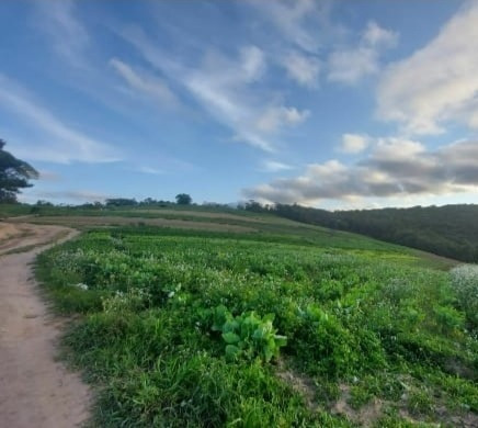 Imagem 12 de 14 de 49) O Terreno Da Sua Chacrinha Está Aqui! Agende Uma Visita!