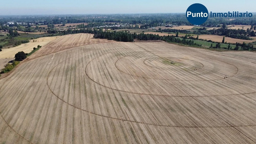 Imagen 5 de 13 de Abundante Agua. Uso Agrícola Y Frutícola