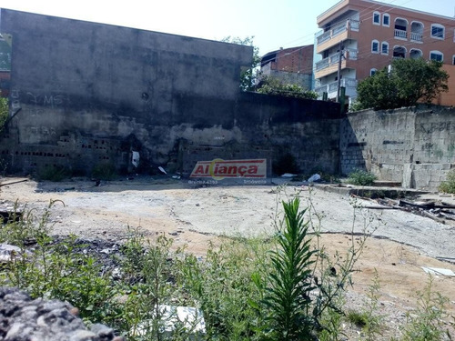 Terreno Comercial À Venda, Jardim Monte Carmelo, Guarulhos - Te0282. - Ai8160