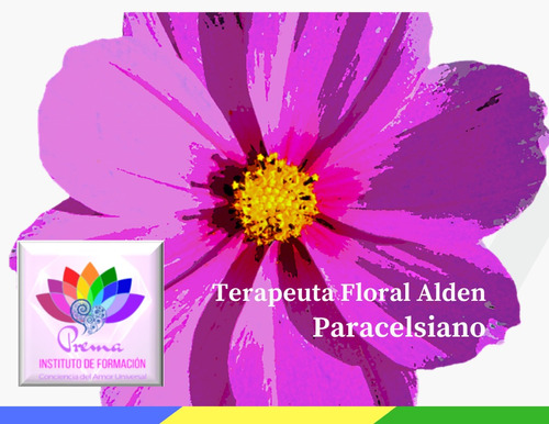 Distancia Terapeuta Floral   Flores De Alden Paracelsianas 