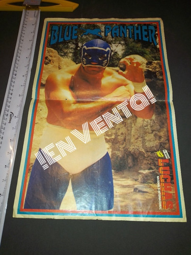 Póster De Lucha Libre Blue Panther  Original No Revista