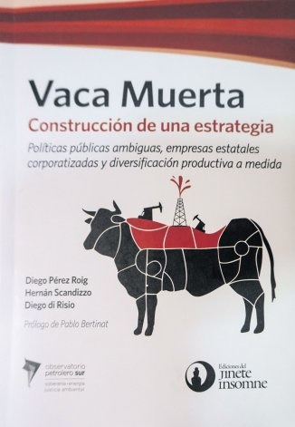 Vaca Muerta. Construccion De Una Estrategia - Aa. Vv