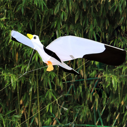 Hermosa De Gaviota En 3d Para Niños Y Adultos, De C