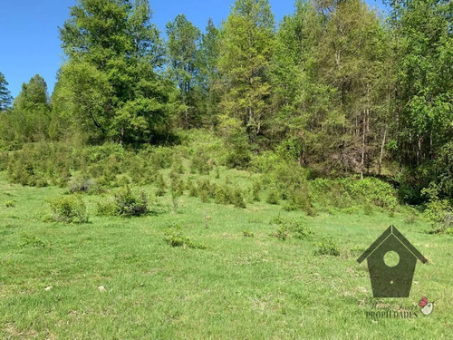 Parcela En Sector Huitrago, Curarrehue, 5000m2