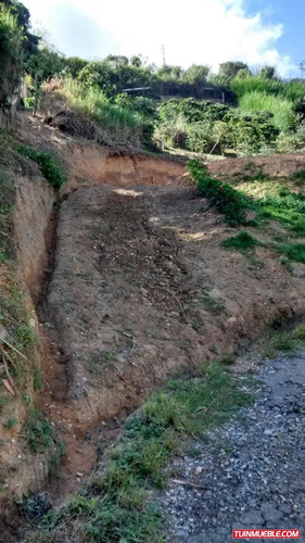 Imagen 9 de 10 de Terreno Venta San Luis La Suiza San Antonio De Los Altos Cf