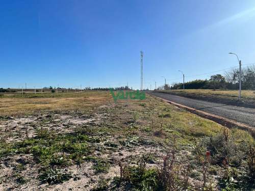 Imagen 9 de 12 de Terrenos En Pando, Venta Segunda Etapa, Financiados A Pura Cuota, Varela Inmobiliaria