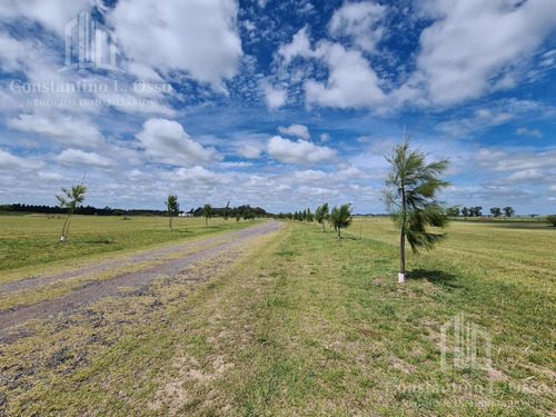 Imagen 4 de 11 de Oportunidad - Lote Muy Bien Ubicado - El Mirador - Samborombon