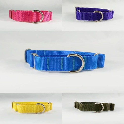 Collar Tipo Martingale Para Perro