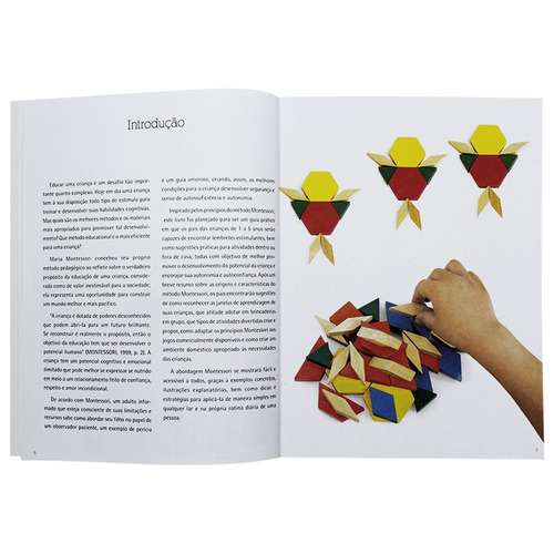 Escolinha Laboratório Montessori - Em Casa, de Piroddi, Chiara. Editora Todolivro Distribuidora Ltda. em português, 2021
