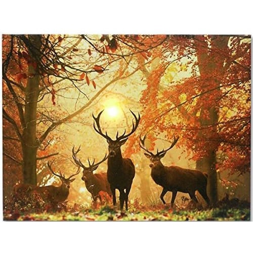 Led Big Buck Wrapped Canvas Print - Ciervo De Cola Blan...