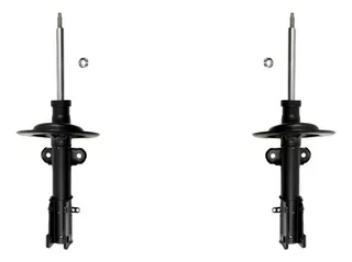 2 Amortiguadores Delanteros Voyager 2005-2006-2007 Grc
