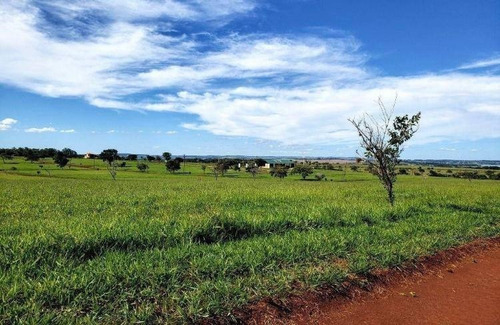 Terreno Alto Padrão Quitado, Sem Prestações Em Avaré