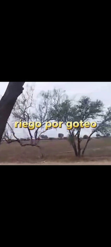 Rancho En Venta O Renta Irapuato