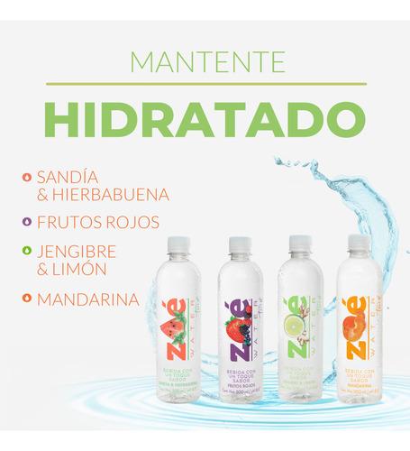Zoé Water Twist Agua Saborizada Pack 12 Pz 500ml Limón Jengi
