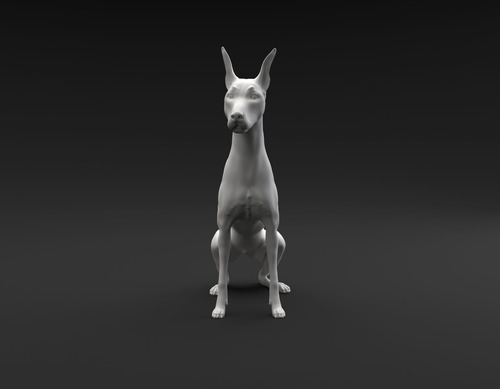 Imagen 2 de 3 de Doberman Pinscher Sentado Destinado A - Escultura