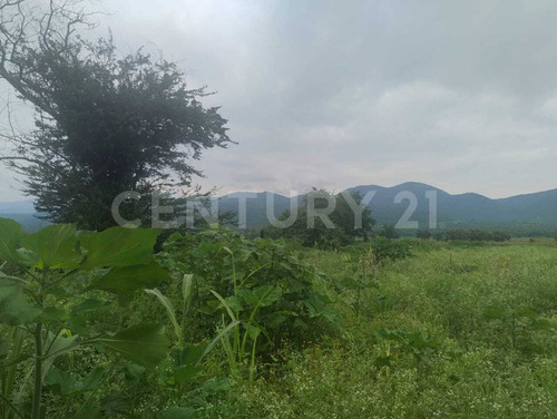 Terreno Rustico En Venta Miacatlán Mor.