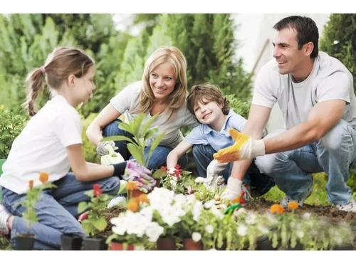 Insecticida Match Lufenuron 5 % X 5 Litro Polilla Tomate