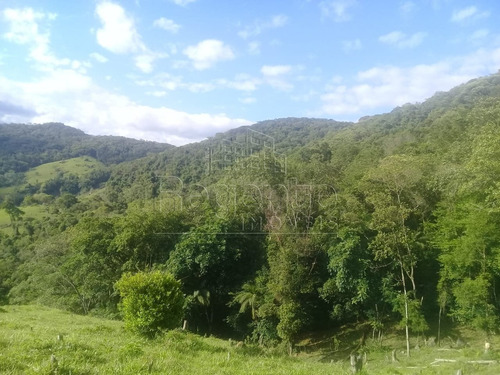 Imagem 13 de 15 de Sitio De 40 Hectares A Venda No Bairro Alto Aririu Em Palhoca - V-82023
