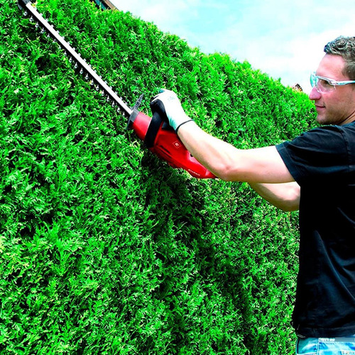 Imagen 7 de 9 de Cortacerco Electrico Einhell Podadora 420w Espada 45cm