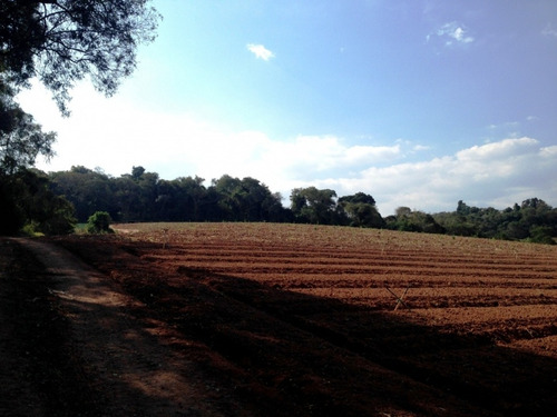 Imagem 13 de 23 de Terreno De 60.000 Mts² Apenas 100 Mts Da Bunjiro Nakao Cod: 0488
