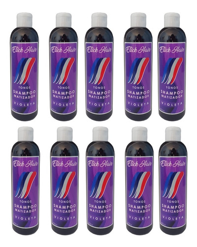 10 Unid Shampoo Matizador Violeta Etick Hair X 300ml Profesi