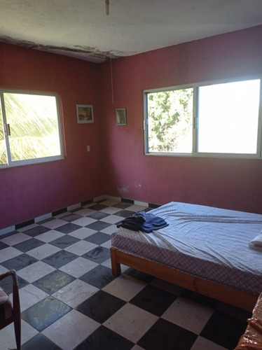 Imagen 10 de 14 de 2 Casas Y Amplio Terreno Con Árboles Frutales