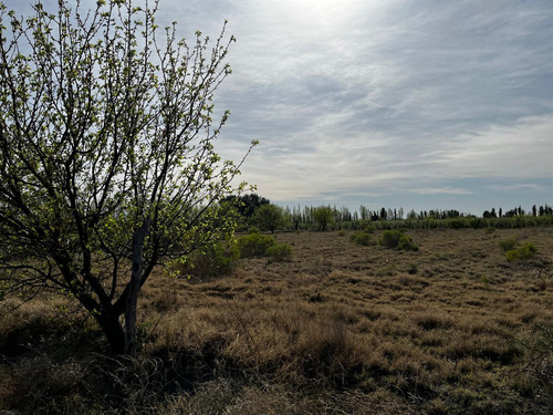 Finca Con Produccion De Alfalfa Y Vivienda