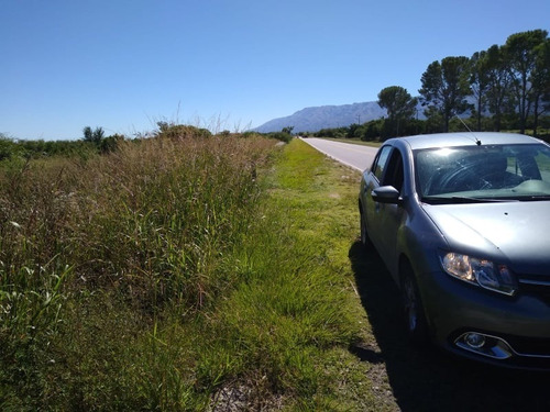 Renault Logan 1.6 Privilége Plus 105cv Nac