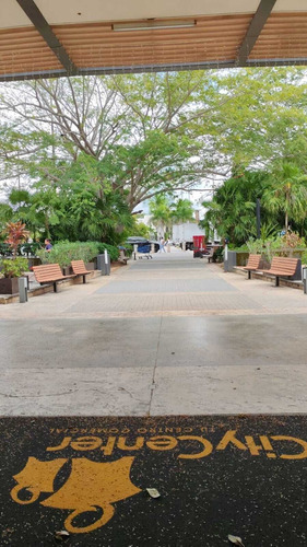 Terrazas De 350 M2 Para Isla
