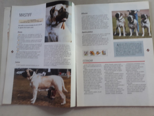 Revista Perros Y Compañia N° 24 Año 1996 Pit Bull Rottweiler (Usado)