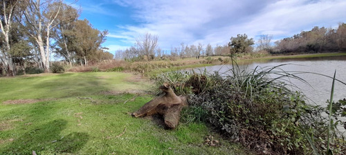 Venta Lote Chacras Del Parana