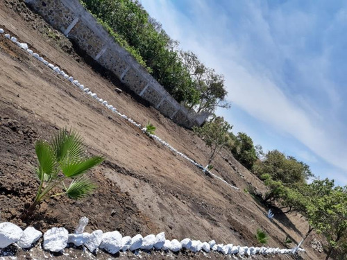 Imagen 7 de 10 de Terreno En Venta San Juan Texcalpan