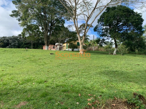 Imagem 21 de 22 de Chácara À Venda, Mendes, São Lourenço Da Serra/sp - 5864