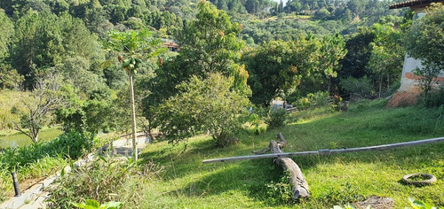 Imagem 5 de 30 de Chácara 5053m2, Casa Sede Com 135m2, 1 Suíte Com Closet, Varanda, 1 Casa De Madeira Com 70m2, 3 Dormitórios, Piscina, Churrasqueira, Lago, Campo Grama - Ch00158 - 70130094