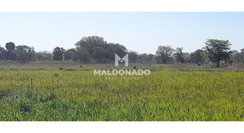 Imagen 3 de 9 de Venta Campo Quinta