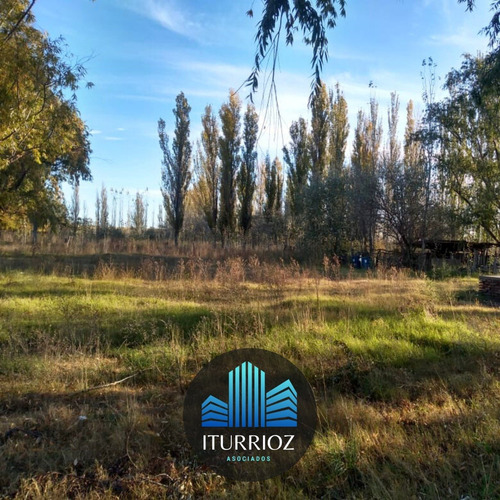 Imagen 2 de 6 de En Venta Chacra Rio Colorado Colonia Contin