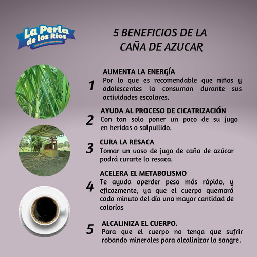 Imagen 3 de 9 de Miel De Caña De Azúcar La Perla De Los Rios Cont Neto 12pzas