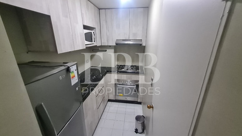 Imagen 4 de 18 de Departamento Con 3 Dormitorios (con Walking Closet) Y 1 Baño