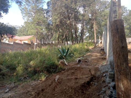Imagen 7 de 8 de Terreno Monte Rubí