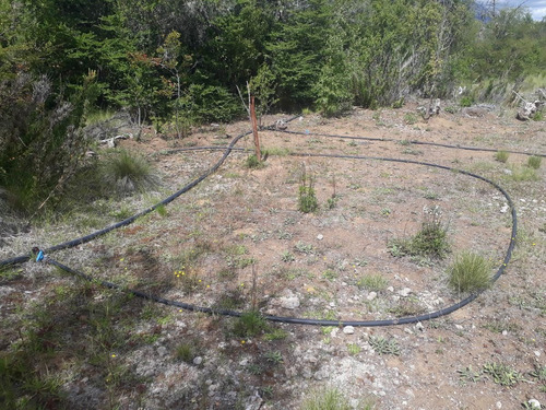 Imagen 9 de 12 de Sobre Ruta 40 - El Foyel