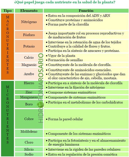 Imagen 10 de 10 de Potenciador De Floración Pyk Rinde 1000 Litros.