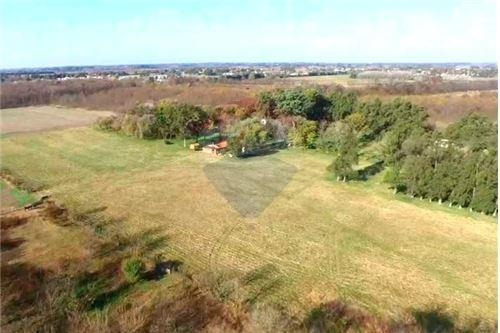 Imagen 3 de 21 de Venta Campo De 195 Ha. En Manzanares Pilar - Único