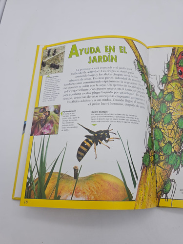 Los Insectos Bajo El Microscopio Con La Gente (Usado)