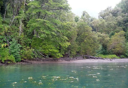 Espectacular Terreno Con Orilla En Lago Todos Los Santos