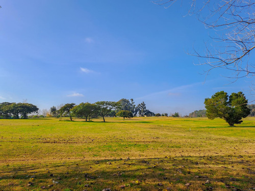 Oportunidad Gran Lote Interno De 3556 M2 Muy Lindas Vistas En Venta - Carmelo Golf